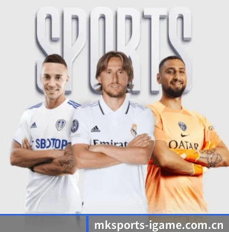 mk体育网页入口 APP - MKSports